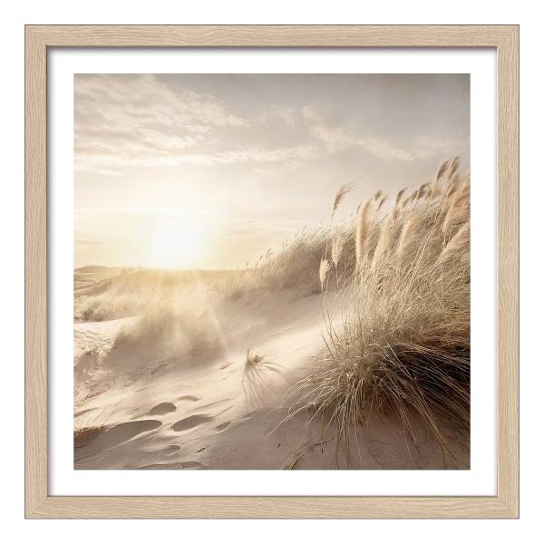 Holzbild Dune Grass At Sunrise Klarglas / MDF - Beige / Braun