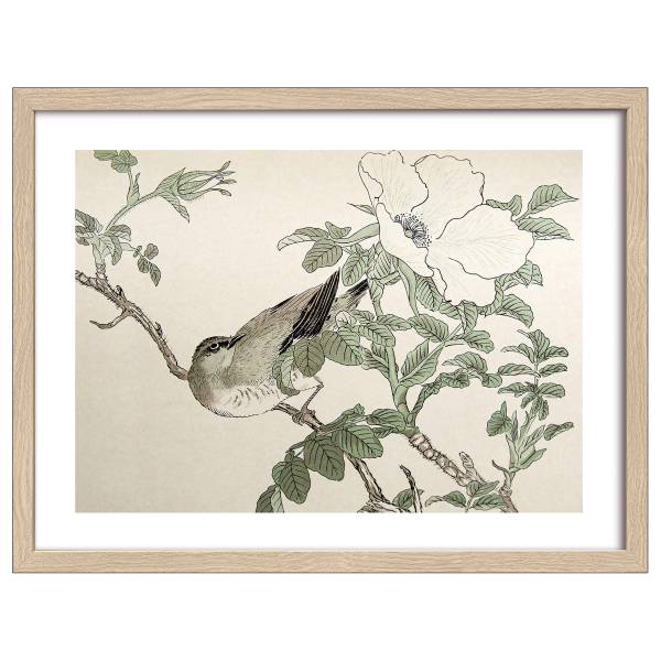 Holzbild Birds Typ A Klarglas / MDF - Grün / Beige