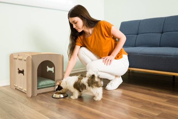 Hundehaus Pets M Braun