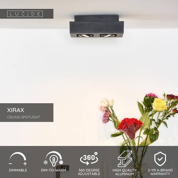 LED-Deckenleuchte Xirax Typ A Aluminium - Schwarz - Flammenanzahl: 2