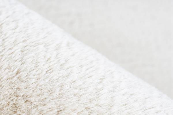Tapis à poils longs Emotion 525 Fibre synthétique - Crème - 60 x 110 cm