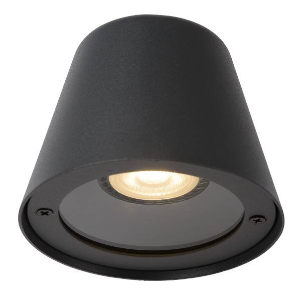 LED-Außenwandleuchte Dingo Eisen - Grau