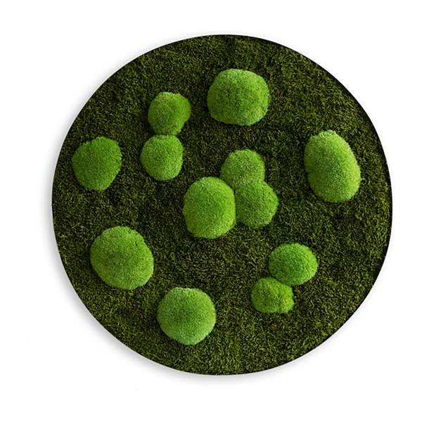Panneau décoratif forêt Mousse / Acier inoxydable - Vert / Acier inoxydable - Diamètre : 80 cm