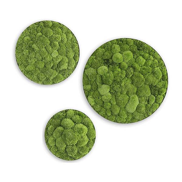 Dekopanel Ellipsoide 3er-Set Moos / Edelstahl - Grün / Edelstahl