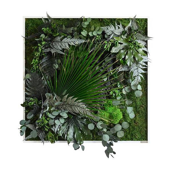 Panneau décoratif design jungle Type C Plantes - Chêne - 80 x 80 cm