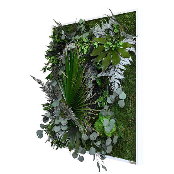 Panneau décoratif design jungle Type C Plantes - Chêne - 80 x 80 cm