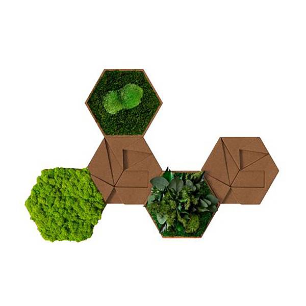 Panneau décoratif hexagonal 5 pièces Mousse / Liège - Vert / Liège