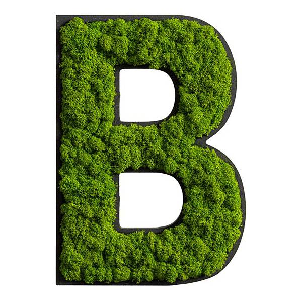 Dekopanel Buchstabe B Moos