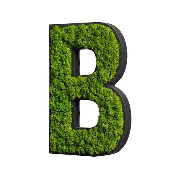 Dekopanel Buchstabe B Moos