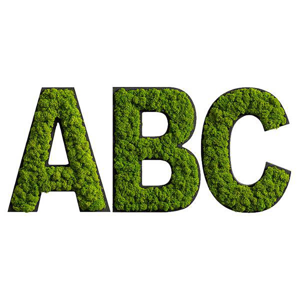 Dekopanel Buchstabe B Moos