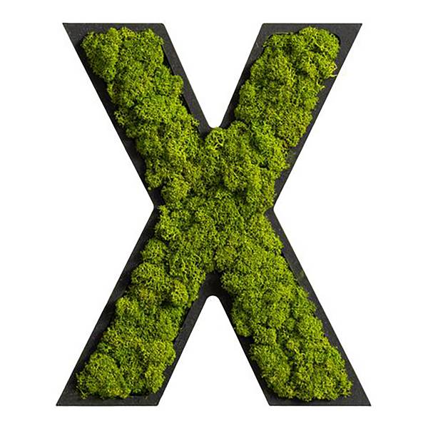 Dekopanel Buchstabe X Moos