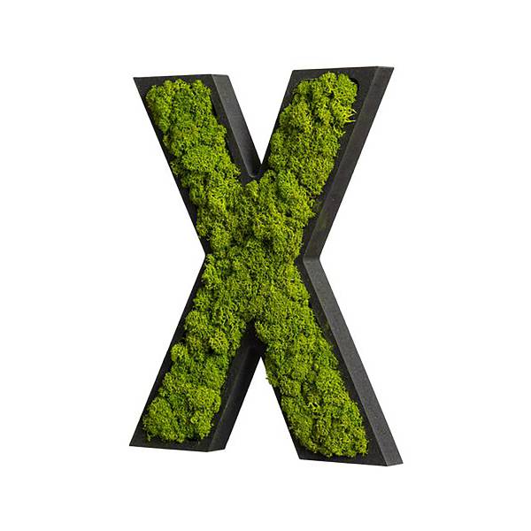 Dekopanel Buchstabe X Moos
