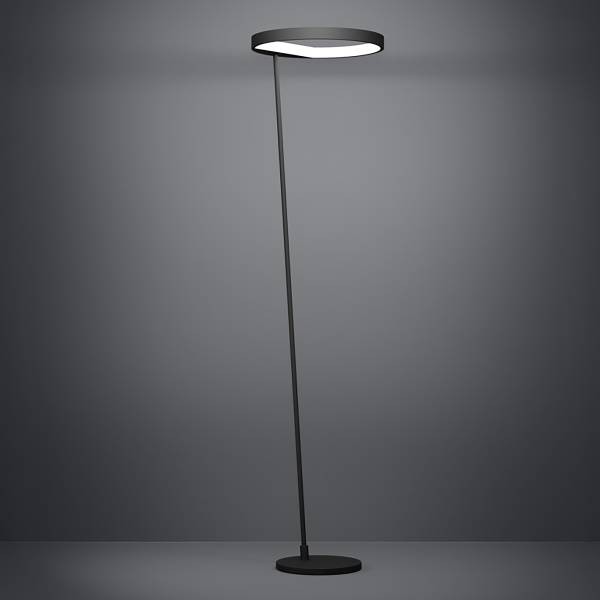 LED-vloerlamp Caredara staal - zwart - 1-lichts