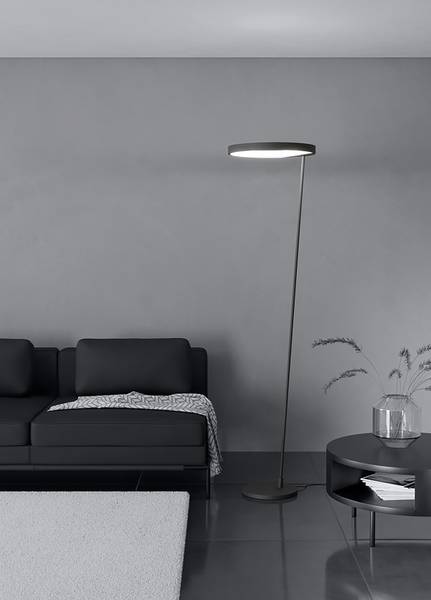 LED-vloerlamp Caredara staal - zwart - 1-lichts