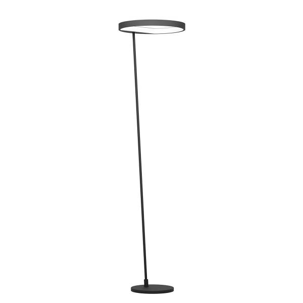 LED-vloerlamp Caredara staal - zwart - 1-lichts