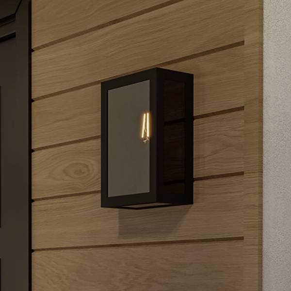 Lampada da parete Alamonte Acciaio / Vetro fumé - Nero - 1 punto luce