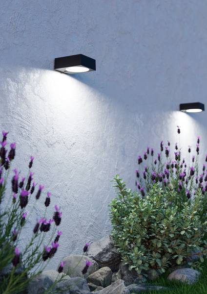 Applique solaire Darfano Plastique - Noir - 1 ampoule
