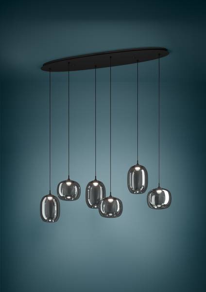 LED-hanglamp Larva staal/rookglas - zwart - 6-lichts