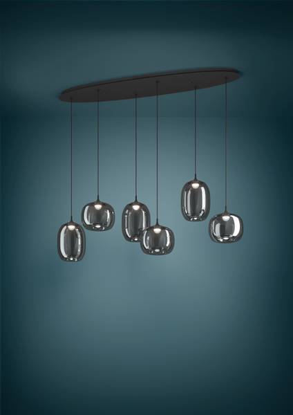LED-hanglamp Larva staal/rookglas - zwart - 6-lichts