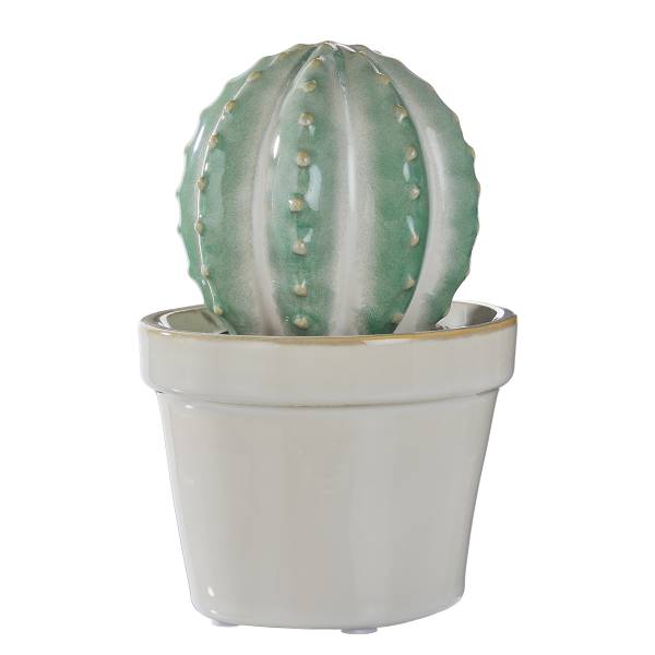 Deko Kaktus CACTUS Steinzeug - Grün