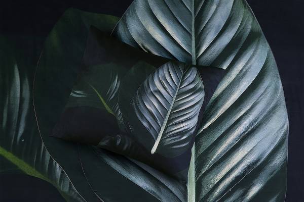 Linge de lit satin Tropical 225 x 225 cm + 2 coussins 50 x 75 cm