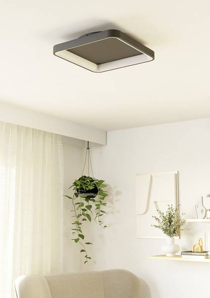 Lampada da soffitto LED Loretello Acciaio - 1 punto luce - Nero