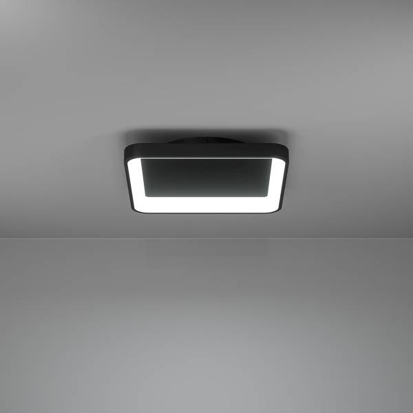 Lampada da soffitto LED Loretello Acciaio - 1 punto luce - Nero