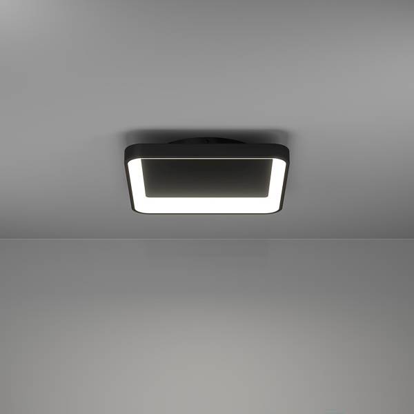 Lampada da soffitto LED Loretello Acciaio - 1 punto luce - Nero