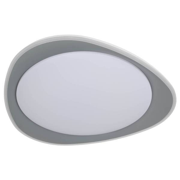 Plafonnier LED Tokio Fer - Gris / Blanc - 1 flamme