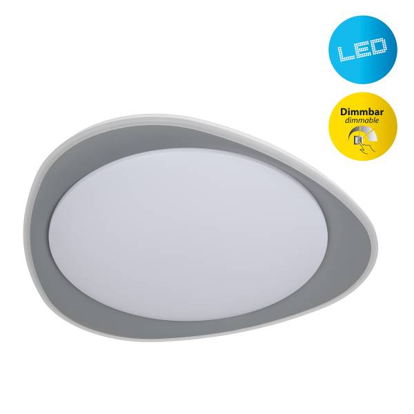 Plafonnier LED Tokio Fer - Gris / Blanc - 1 flamme