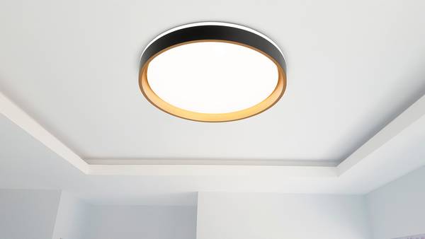 LED-Deckenleuchte Tunis Eisen - Schwarz / Gold - 1-flammig