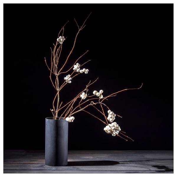 Leinwandbild New Baroque Still Life IV Schwarz - Braun - Weiß - Holzwerkstoff - Papier - 40 x 40 x 2 cm