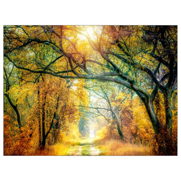 Tableau Soleil en forêt II Marron - Vert - Jaune - Bois manufacturé - Papier - 116 x 84 x 2.4 cm