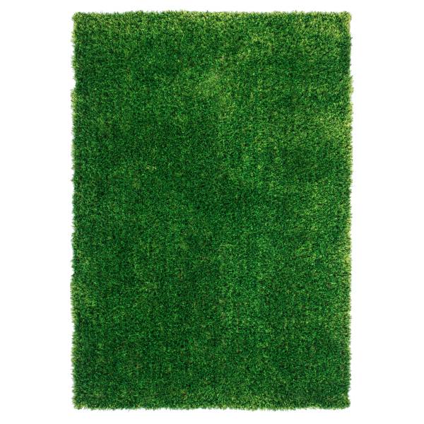 Tapis à poils longs Diamond 725 Vert - 120 x 170 cm