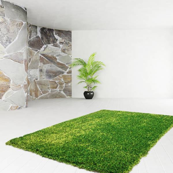 Tapis à poils longs Diamond 725 Vert - 120 x 170 cm