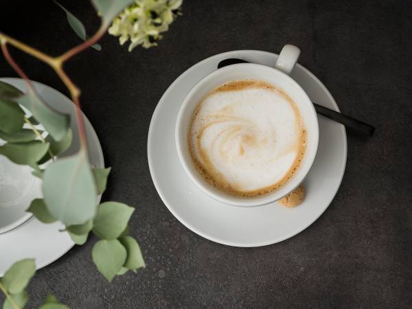Tasses cappuccino Bistrot porcelaine - blanc