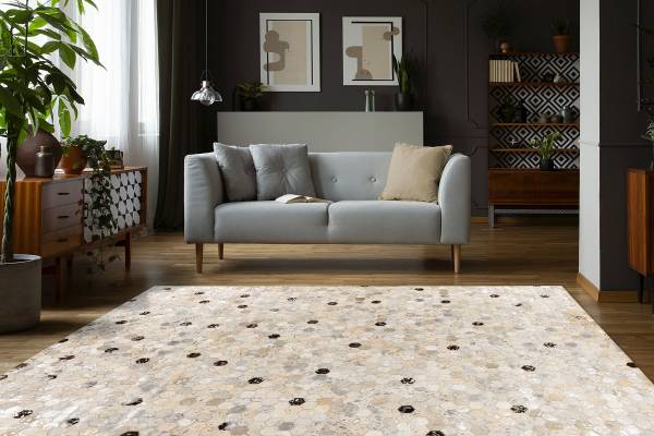 Tapis Lavin 1025 à poils courts Beige / Anthracite - 80 x 150 cm