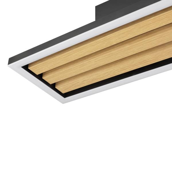 LED-Deckenleuchte Calma Typ C Eisen - Schwarz - 1-flammig