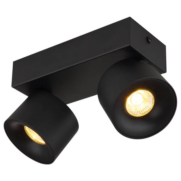 Plafonnier LED Rae Fer - Noir - Nb d'ampoules : 2