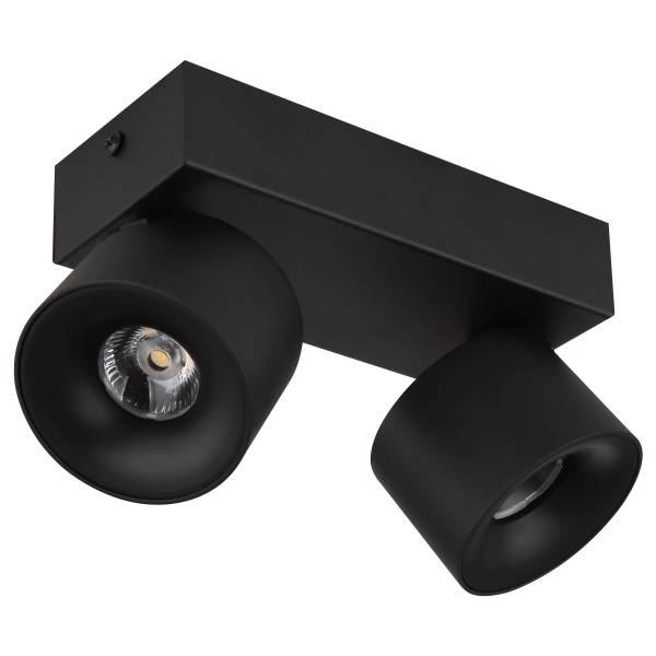 Plafonnier LED Rae Fer - Noir - Nb d'ampoules : 2