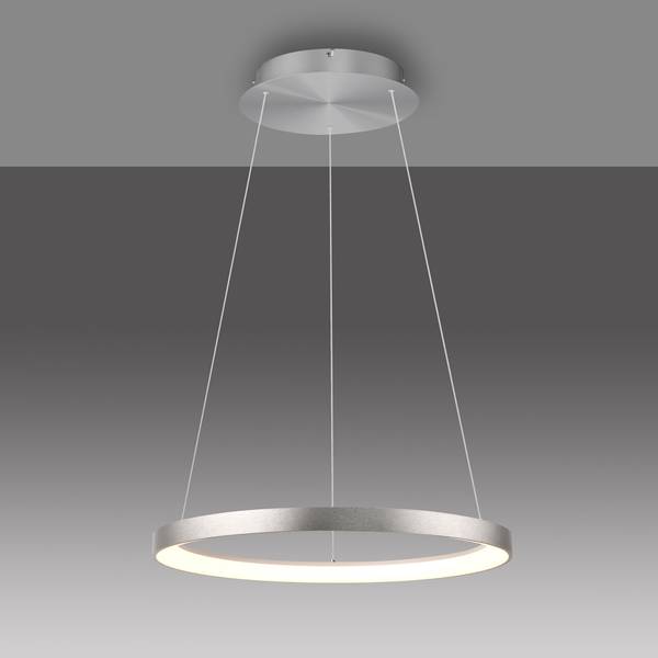 LED-Pendelleuchte Hoop Eisen - Silber - 1-flammig