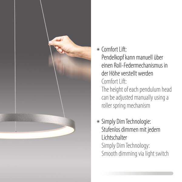 LED-Pendelleuchte Hoop Eisen - Silber - 1-flammig