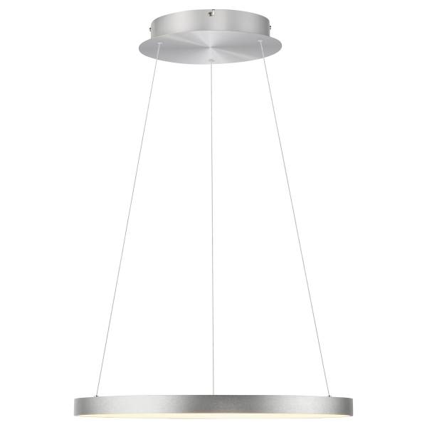 LED-Pendelleuchte Hoop Eisen - Silber - 1-flammig