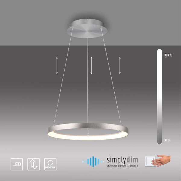 LED-Pendelleuchte Hoop Eisen - Silber - 1-flammig