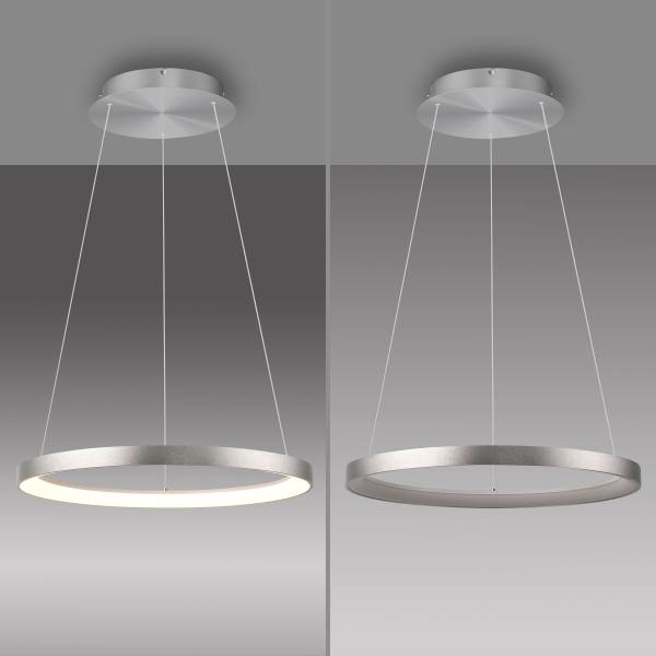 LED-Pendelleuchte Hoop Eisen - Silber - 1-flammig