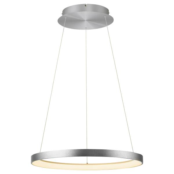 LED-Pendelleuchte Hoop Eisen - Silber - 1-flammig