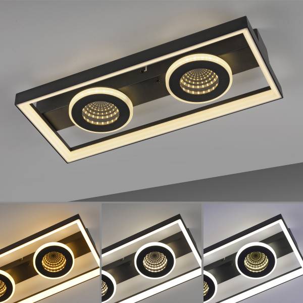 Plafonnier LED Traford Fer - Noir - Nb d'ampoules : 2