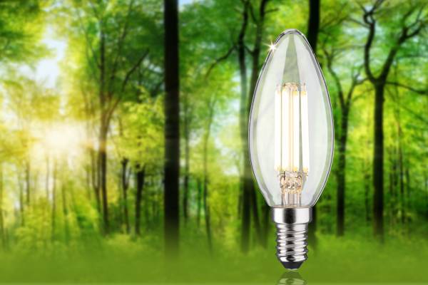 LED-Glühbirne Eco-Line Kerze Klarglas - Warmweiß