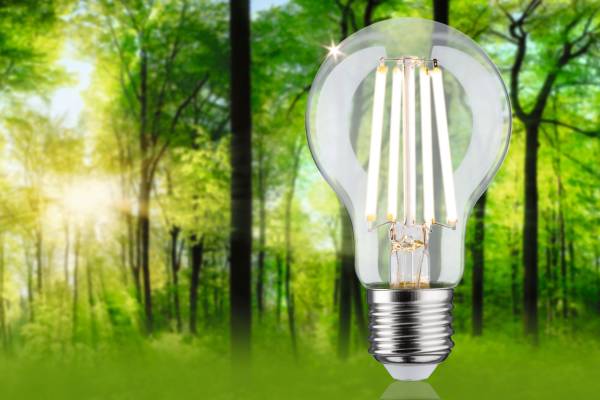 Ampoule LED Eco-Line Verre clair - Blanc chaud