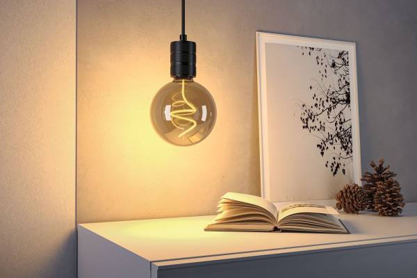 Ampoule LED Floating Shine Globe A Verre clair - Gris